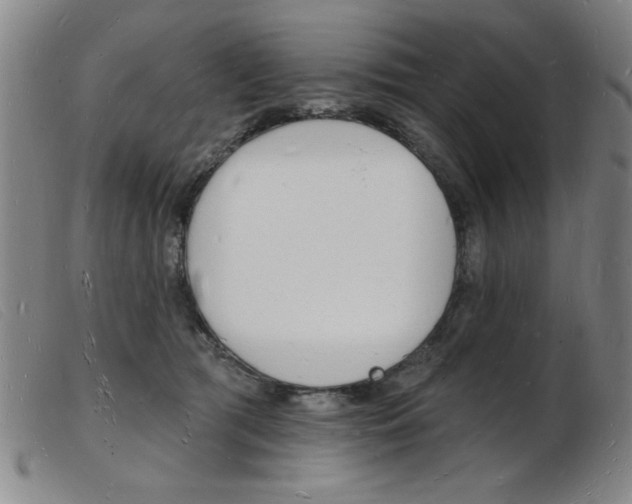 X0000103970417200809191403