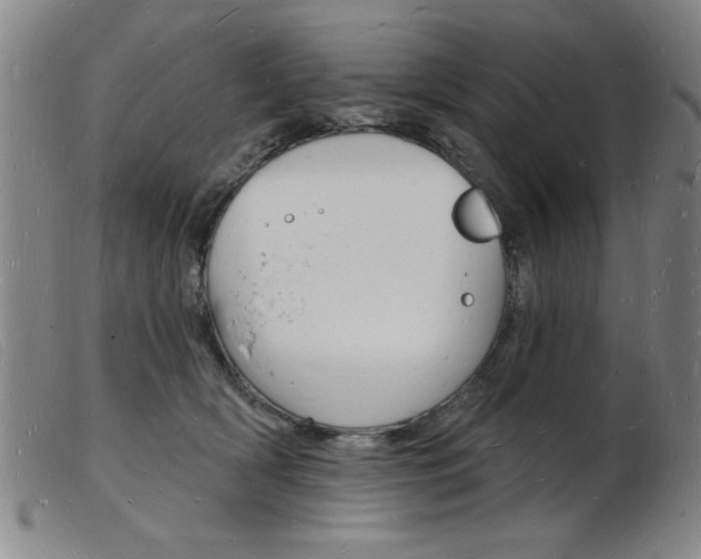 X0000103970418200809191403