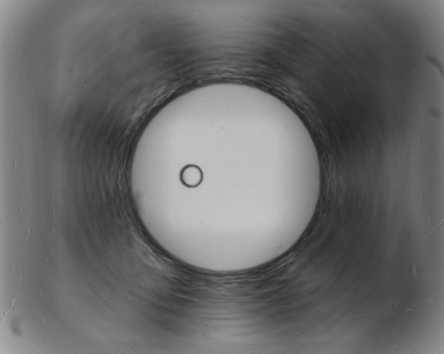 X0000103970419200809191403