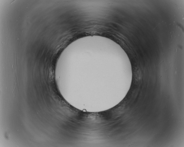 X0000103970420200809191403