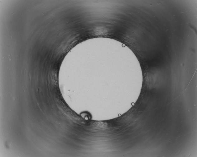 X0000103970421200809191403