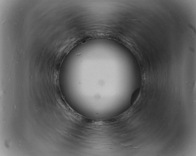 X0000103970423200809191403
