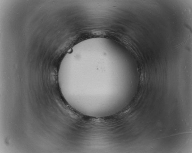 X0000103970424200809191403