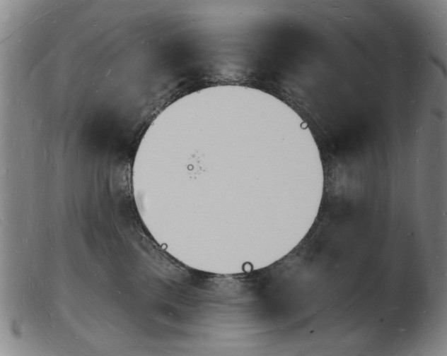 X0000103970425200809191403