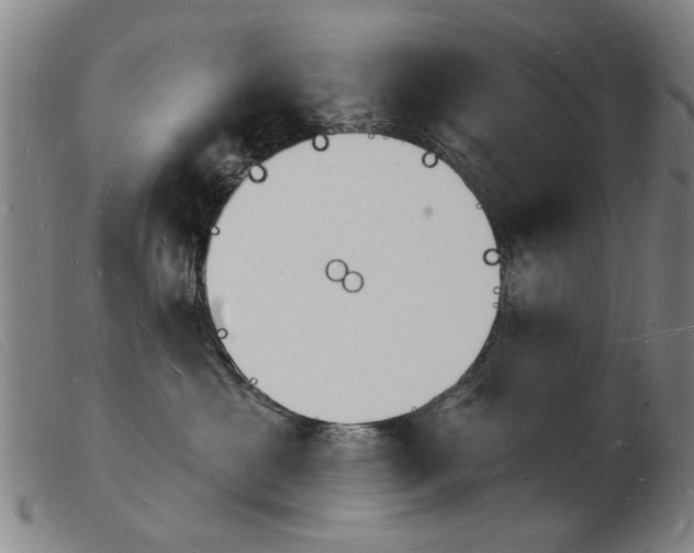 X0000103970429200809191403