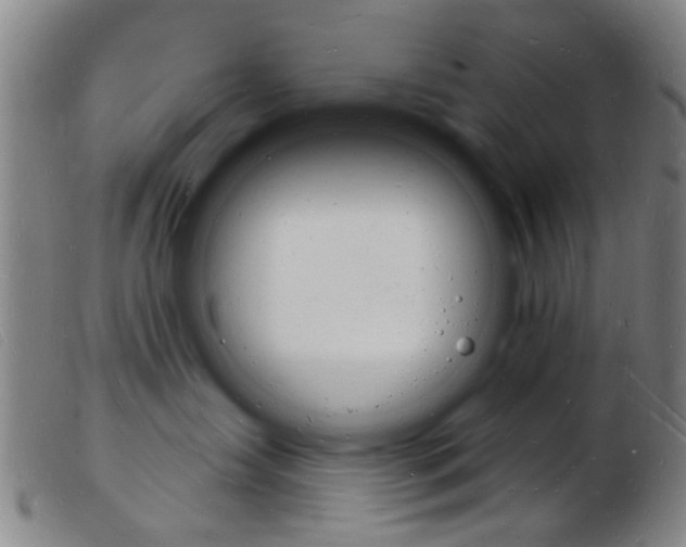 X0000103970431200809191403