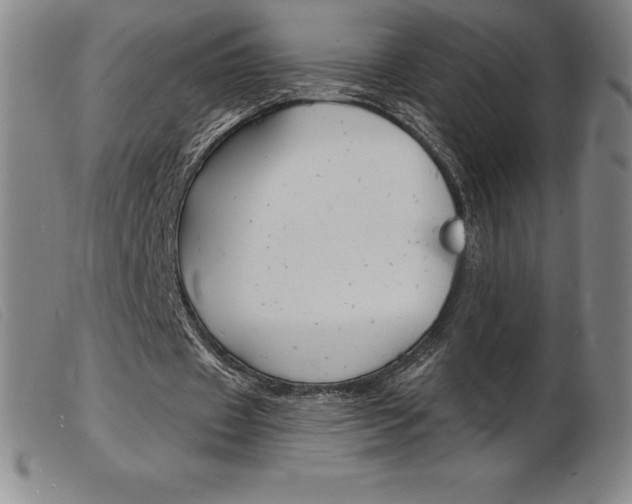 X0000103970433200809191402