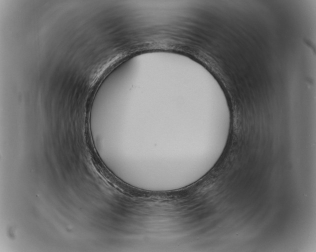X0000103970434200809191402
