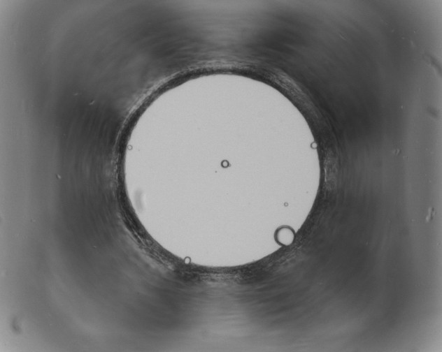 X0000103970436200809191402