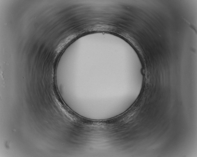 X0000103970437200809191402
