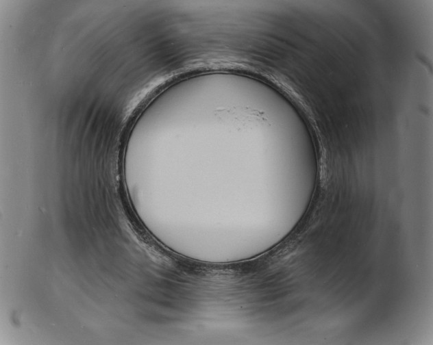 X0000103970438200809191402
