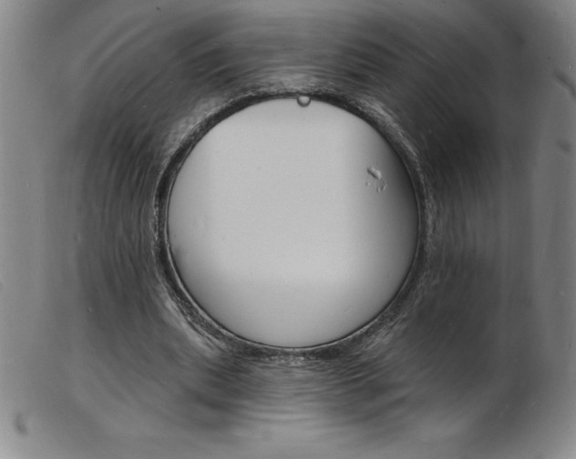 X0000103970439200809191403