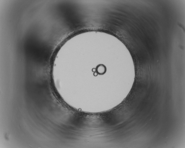 X0000103970440200809191403