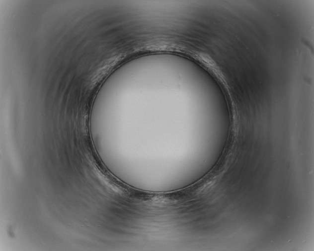 X0000103970441200809191403