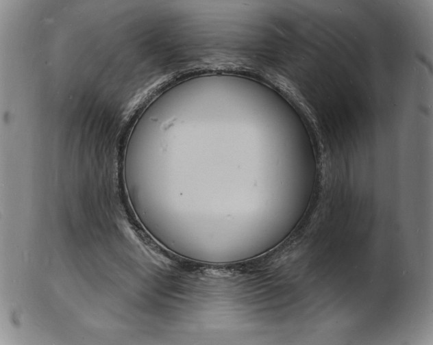 X0000103970442200809191403