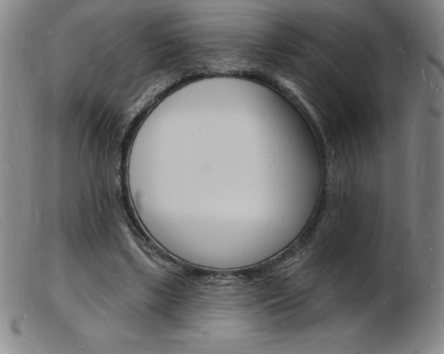 X0000103970443200809191403