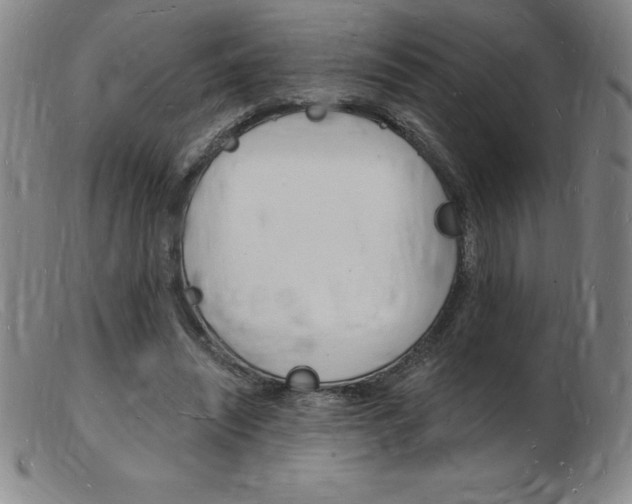 X0000103970444200809191403