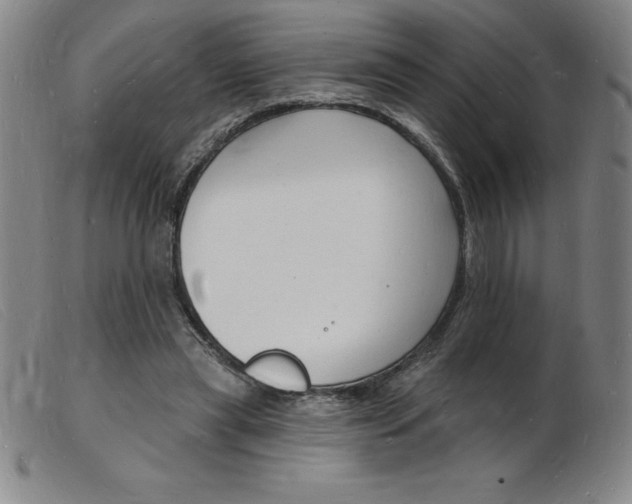 X0000103970445200809191403