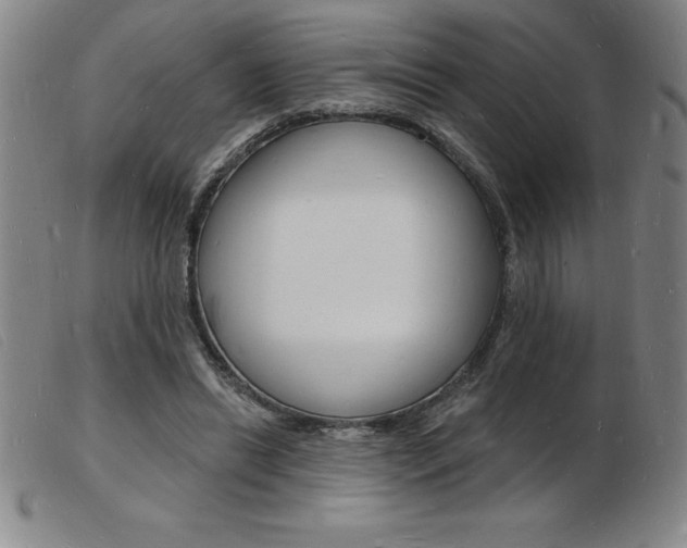 X0000103970446200809191403