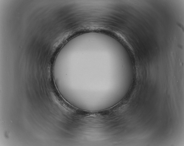 X0000103970447200809191403