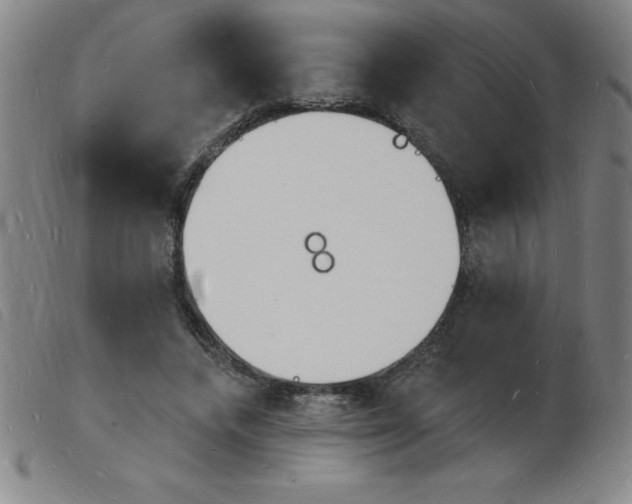 X0000103970448200809191403