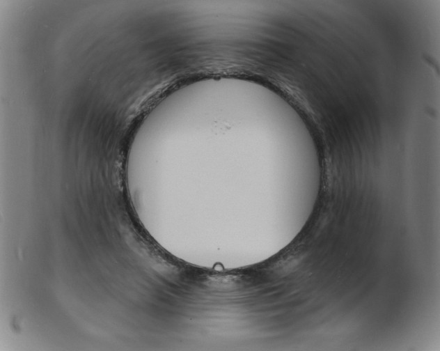 X0000103970450200809191403