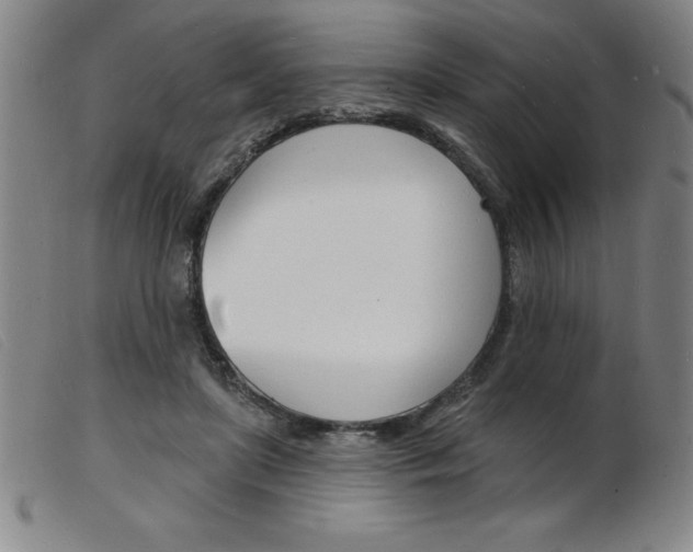X0000103970451200809191403
