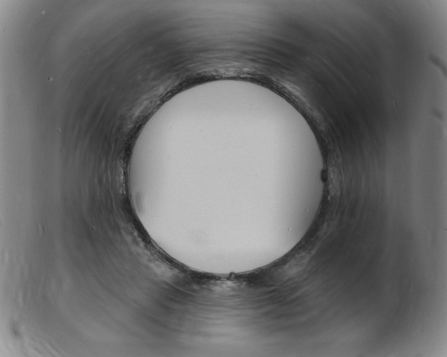 X0000103970453200809191403