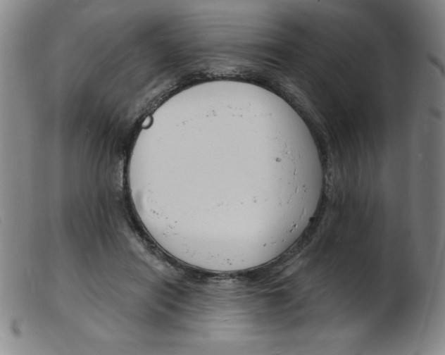 X0000103970454200809191403