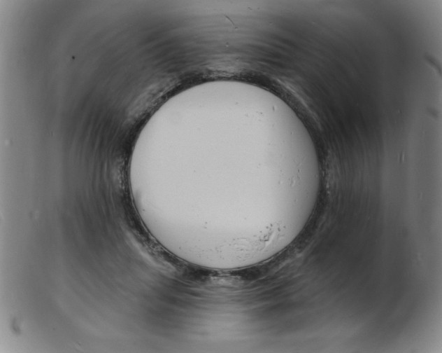 X0000103970455200809191403