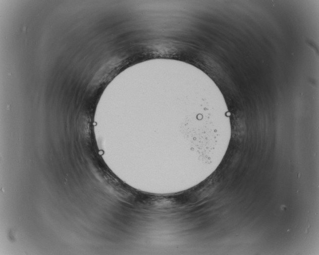X0000103970456200809191403