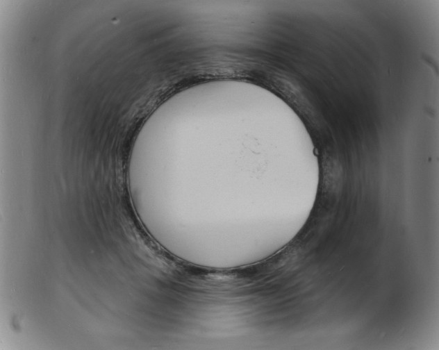 X0000103970457200809191403