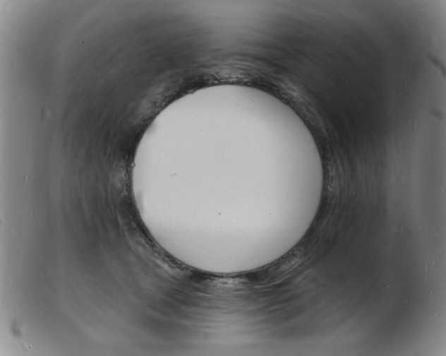 X0000103970465200809191403