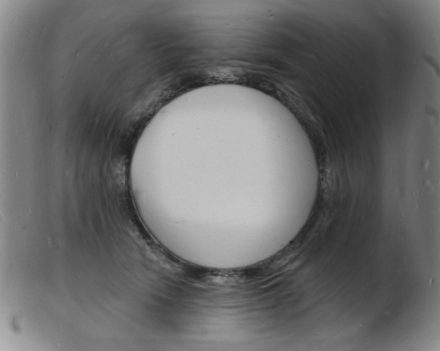 X0000103970466200809191403