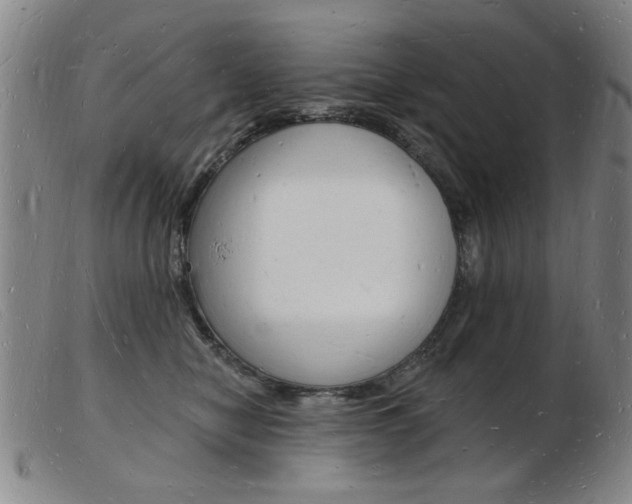 X0000103970470200809191403