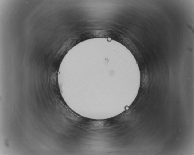 X0000103970473200809191403
