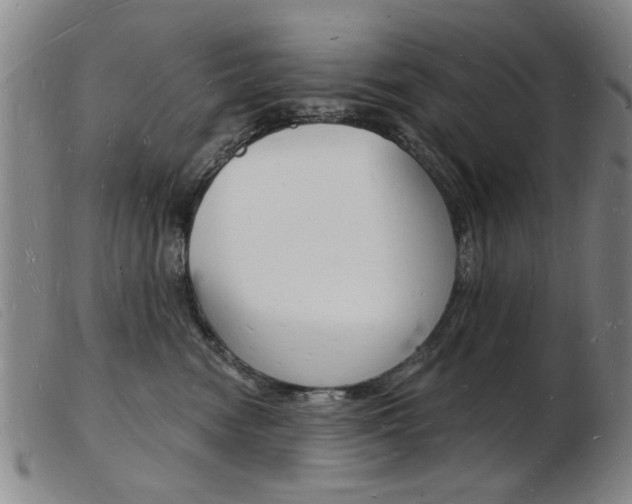 X0000103970474200809191403