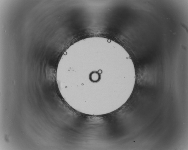 X0000103970476200809191403