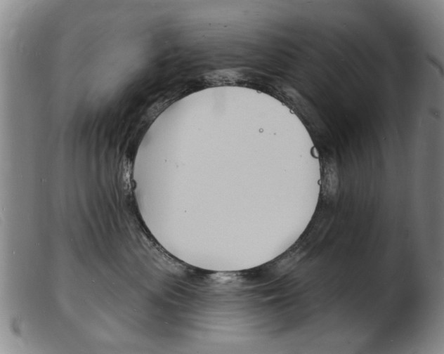 X0000103970477200809191403