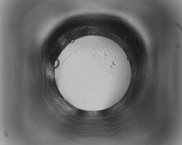 X0000103970479200809191403