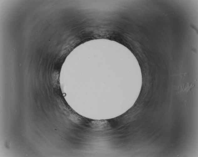 X0000103970480200809191403