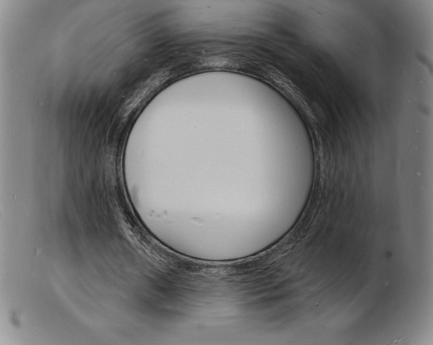 X0000103970482200809191402