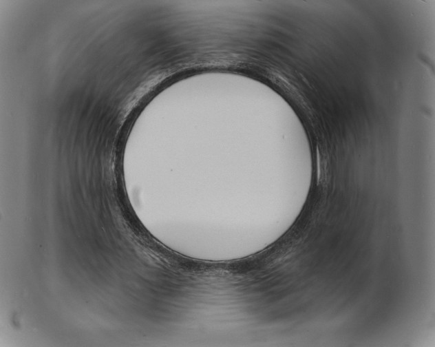 X0000103970483200809191402