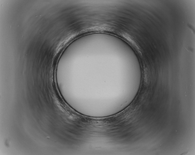 X0000103970486200809191402