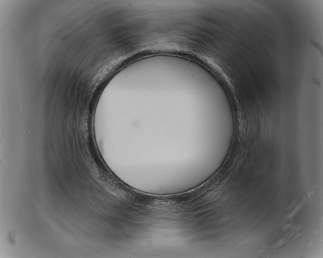 X0000103970487200809191402