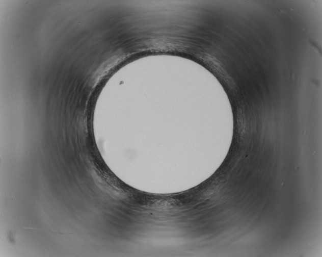 X0000103970488200809191402