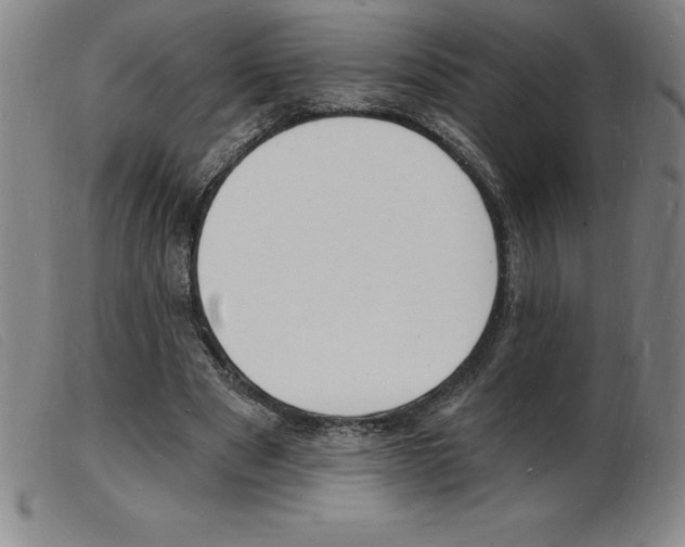 X0000103970489200809191402