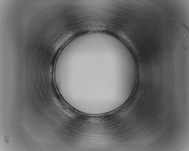 X0000103970490200809191402