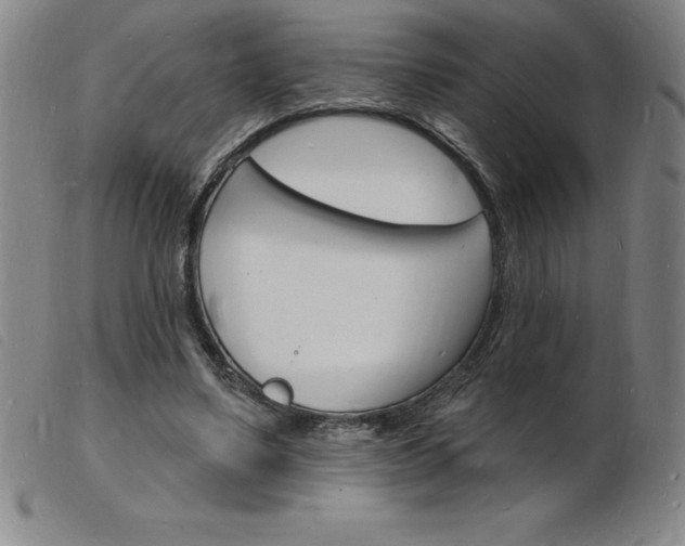 X0000103970491200809191402