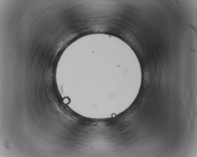 X0000103970492200809191402